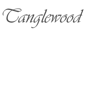 authorized Tanglewood guitar warranty repair service